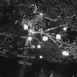 老司机十八禁午夜福利
