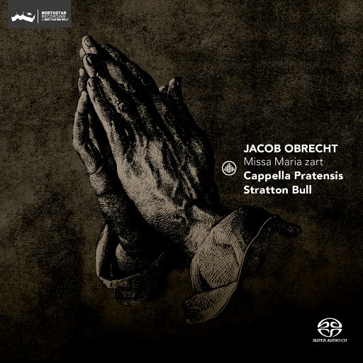 老司机十八禁午夜福利
